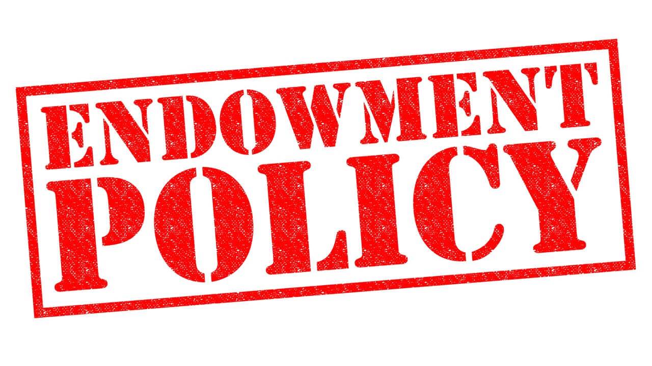 A Complete Guide To Endowment Policy