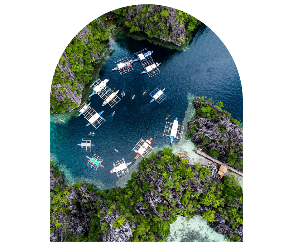 pacific tours agency in kothrud pune 